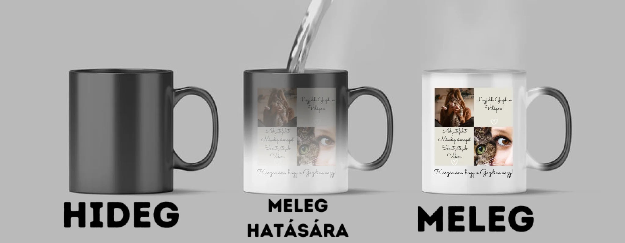 Cica gazdi 1. - 2 fénykép - Saját fényképes bögre