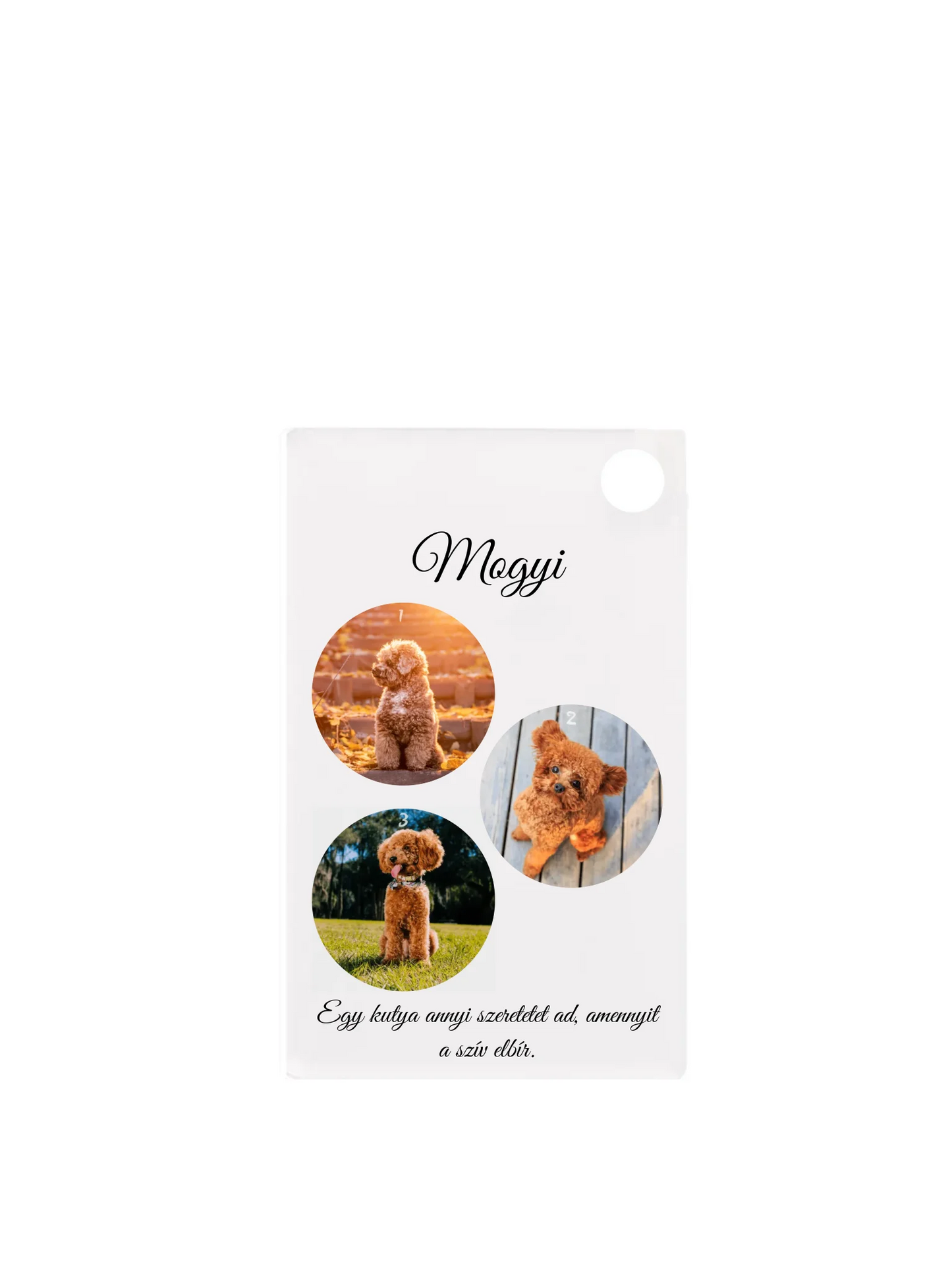 Téglalap alakú kulcstartó eleje minden nélkül belső nélkül - álló