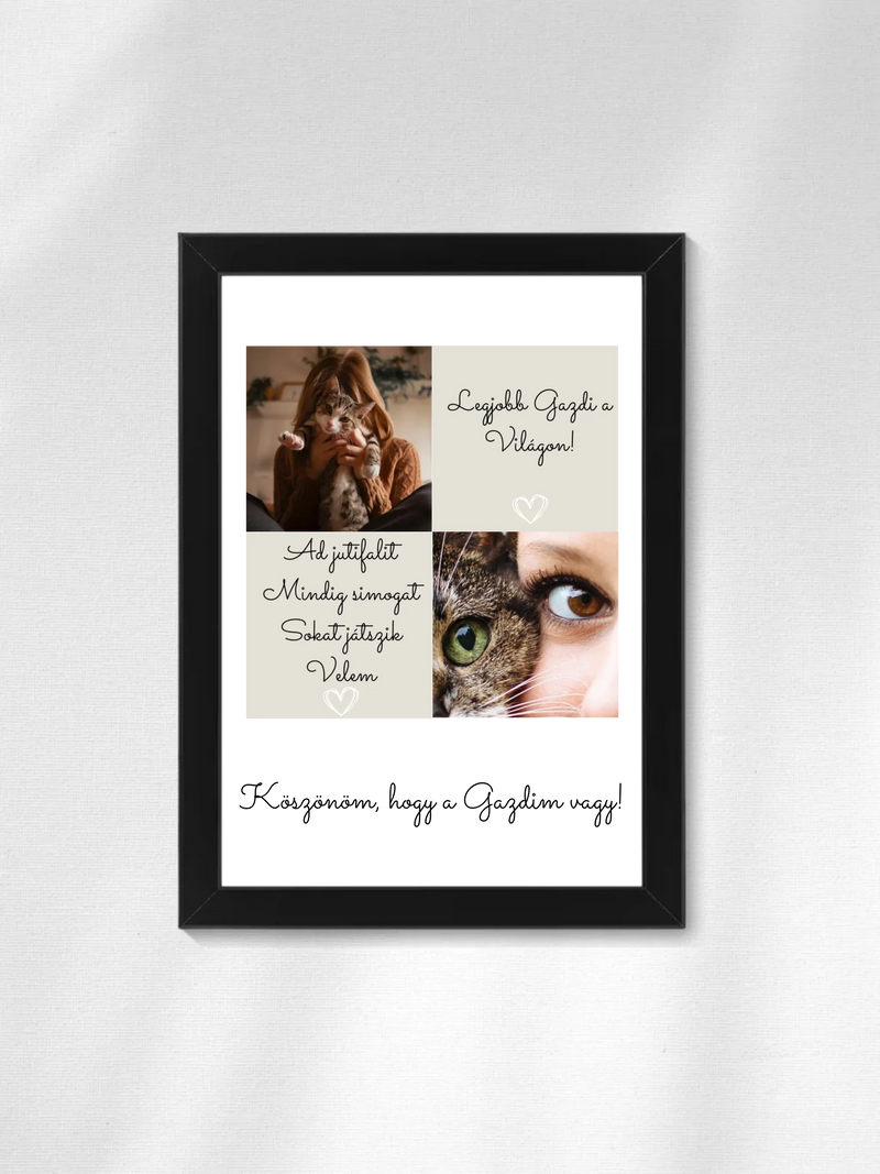 Cica gazdi 1. - 2 fénykép - Saját fényképes falikép