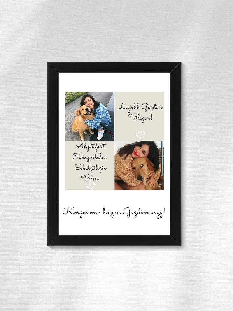 Kutya gazdi 1. - 2 fénykép - Saját fényképes falikép